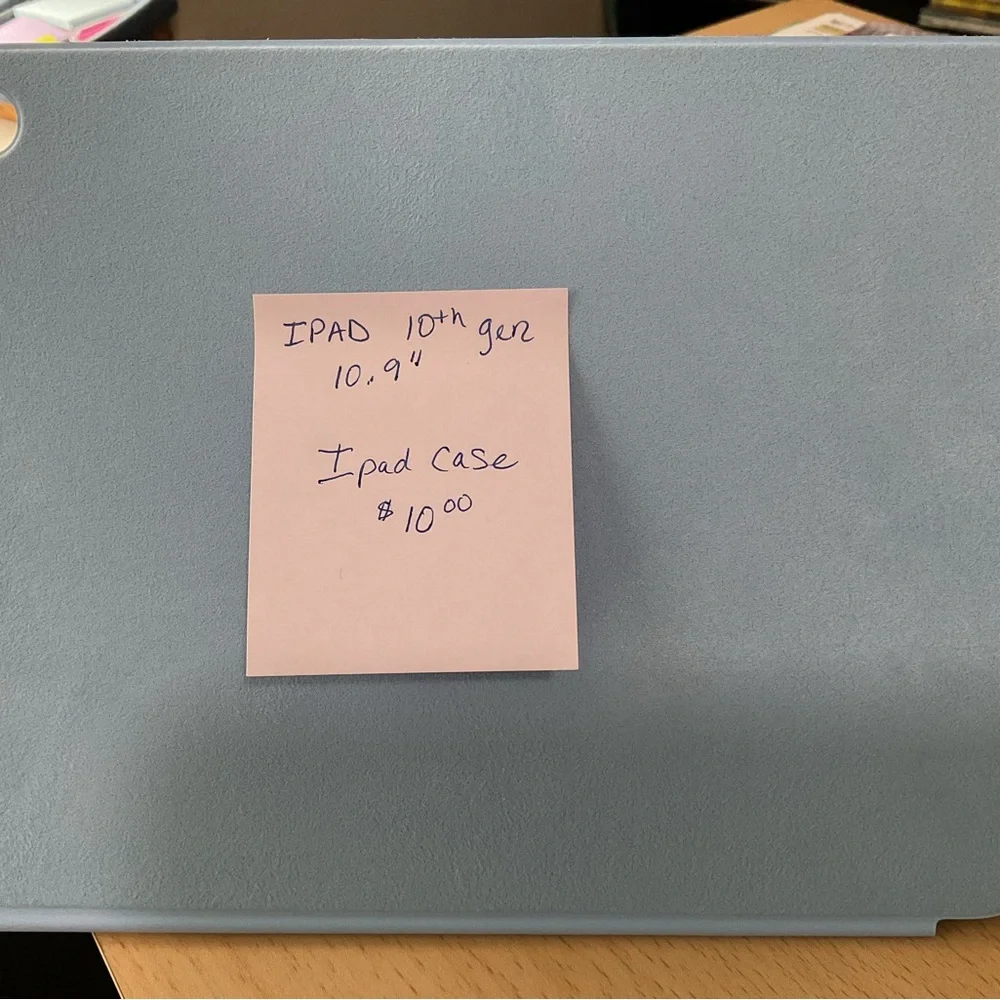 Apple Light Blue iPad Case